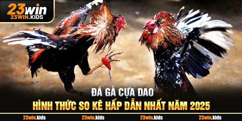 Đá Gà Cựa Dao - Hình Thức So Kê Hấp Dẫn Nhất Năm 2025