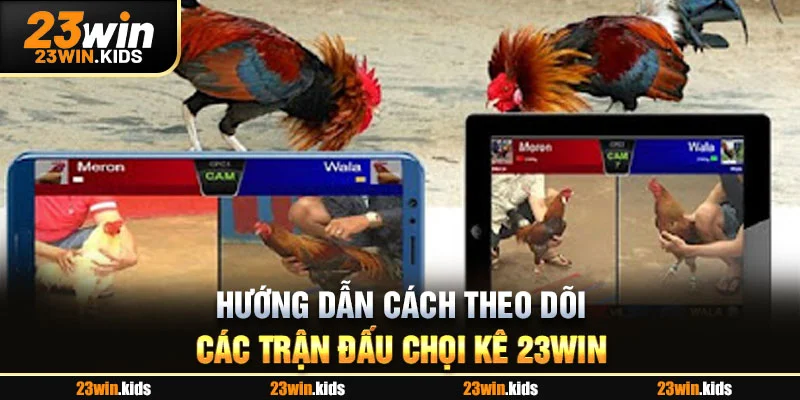 Hướng dẫn cách theo dõi các trận đấu chọi kê 23WIN