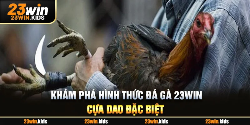 Khám phá hình thức đá gà 23WIN cựa dao đặc biệt
