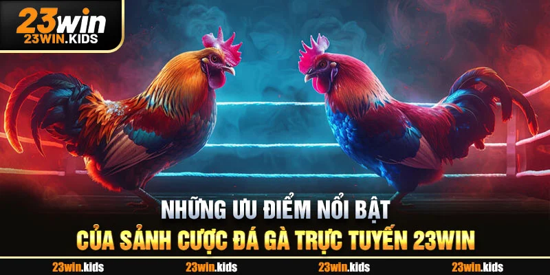 Những ưu điểm nổi bật của sảnh cược đá gà trực tuyến 23WIN