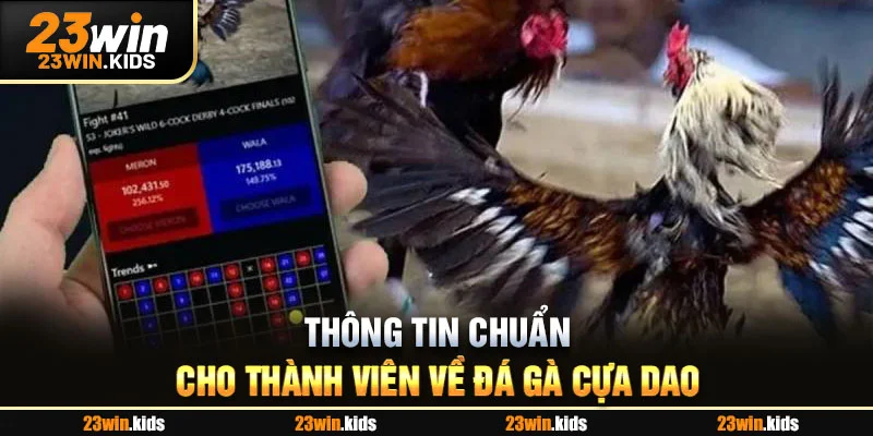Thông tin chuẩn cho thành viên về đá gà cựa dao